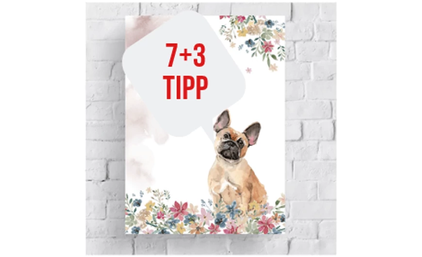 7+3 TIPP A megfelelő vászonkép kiválasztásához