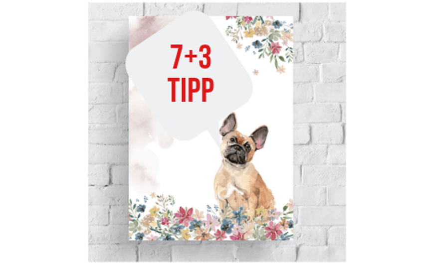 7+3 TIPP A megfelelő vászonkép kiválasztásához